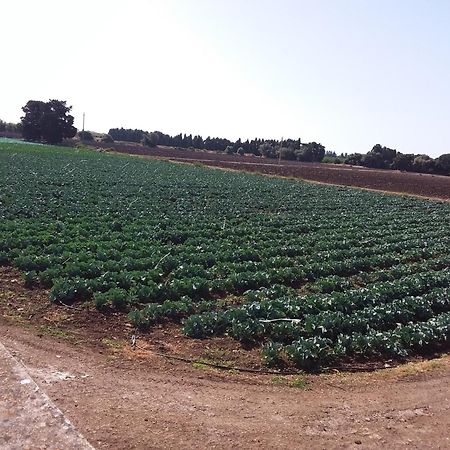 בית הארחה סירקוזה 	Antica Gebbia מראה חיצוני תמונה