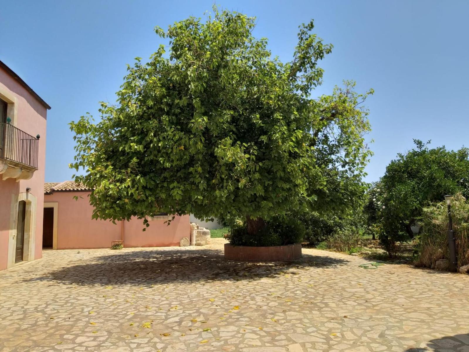 בית הארחה סירקוזה 	Antica Gebbia מראה חיצוני תמונה